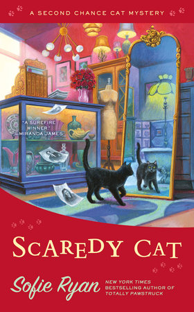 Scaredy Cats childrens Book