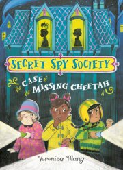 The Case of the Missing Cheetah 