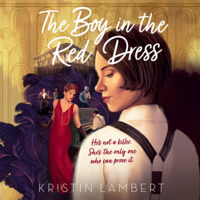 The Boy in the Red Dress cover