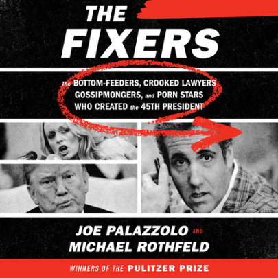 The Fixers Cover