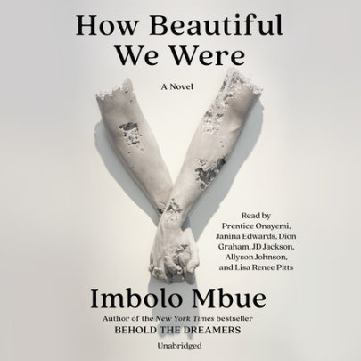 How Beautiful We Were Cover