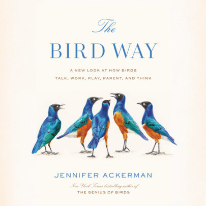The Bird Way Cover