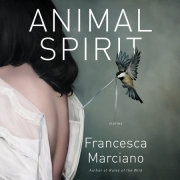 Animal Spirit 