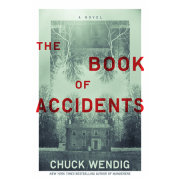 The Book of Accidents 