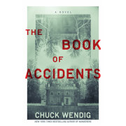 The Book of Accidents