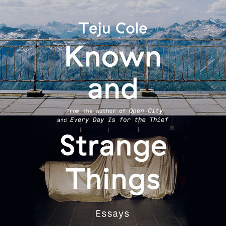 Known and Strange Things by Teju Cole