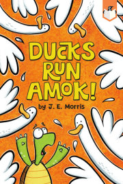 Ducks Run Amok! 