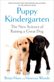 Puppy Kindergarten 