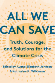 All We Can Save 