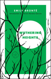 14 Extraordinary Facts About Wuthering Heights - Emily Brontë 
