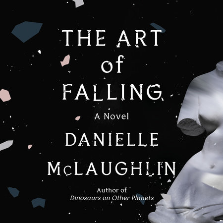 The Art of Falling by Danielle McLaughlin
