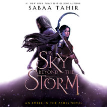 A Sky Beyond the Storm Cover