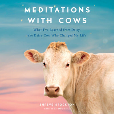 Meditations with Cows cover