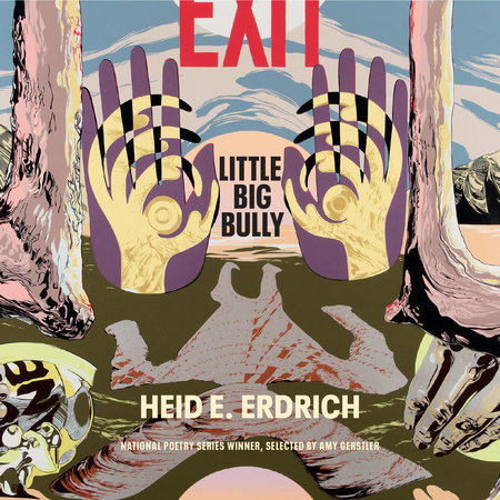 Little Big Bully by Heid E. Erdrich