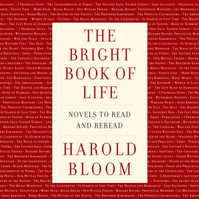 The Bright Book of Life cover