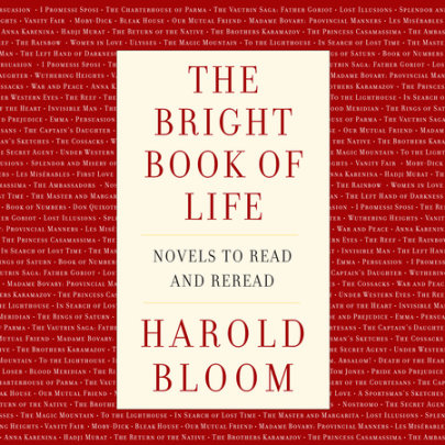 The Bright Book of Life Cover