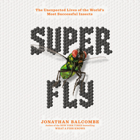 Super Fly by Jonathan Balcombe