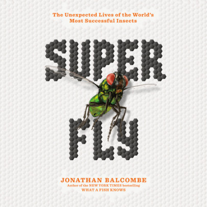 Super Fly Cover