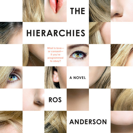 The Hierarchies by Ros Anderson