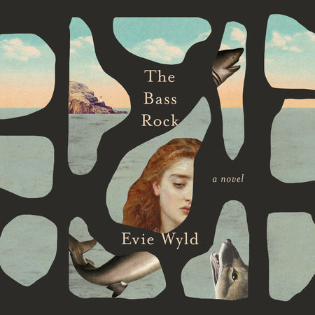 The Bass Rock Cover