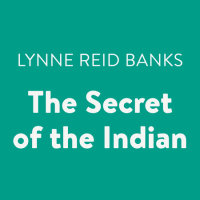 Cover of The Secret of the Indian cover