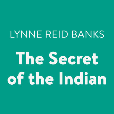The Secret of the Indian cover