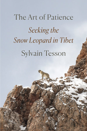 The Art of Patience by Sylvain Tesson: 9780593296288