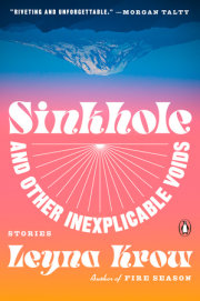 Sinkhole, and Other Inexplicable Voids 