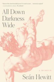 All Down Darkness Wide 