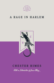 A Rage in Harlem (Special Edition) 