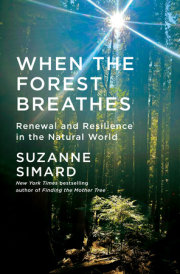 When the Forest Breathes 