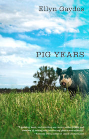 Pig Years 