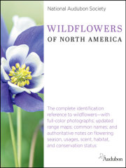 National Audubon Society Wildflowers of North America