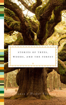 The most insightful stories about Forestry - Medium