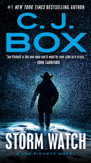  Dark Sky (A Joe Pickett Novel): 9780525538295: Box