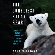 The Loneliest Polar Bear 