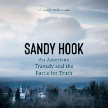 Sandy Hook Cover