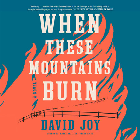 When These Mountains Burn by David Joy