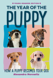 The Year of the Puppy 