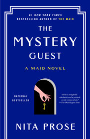 The Mystery Guest 