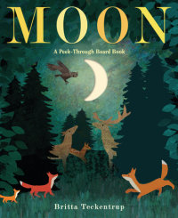 Cover of Moon: A Peek-Through Board Book