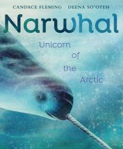 Narwhal 