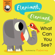 Elephant, Elephant, What Can You See?