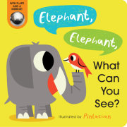 Elephant, Elephant, What Can You See? 