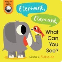 Book cover for Elephant, Elephant, What Can You See?