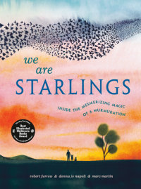 Book cover for We Are Starlings