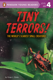 Tiny Terrors! 