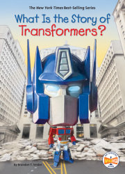 What Is the Story of Transformers? 