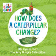 How Does a Caterpillar Change? 