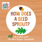How Does a Seed Sprout? 